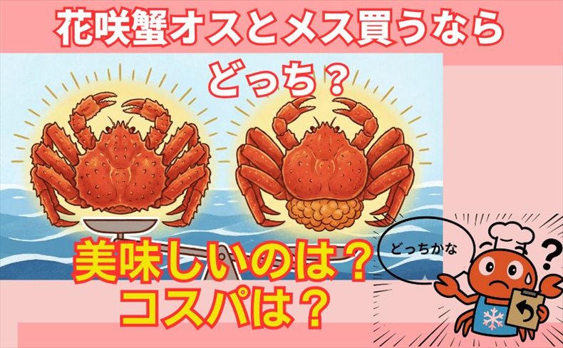 花咲蟹のオスとメス見分け方